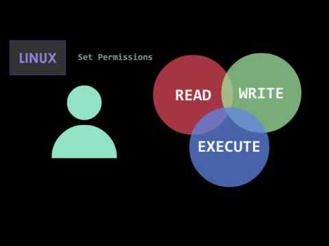 Video: Vad betyder S i behörigheter Linux?