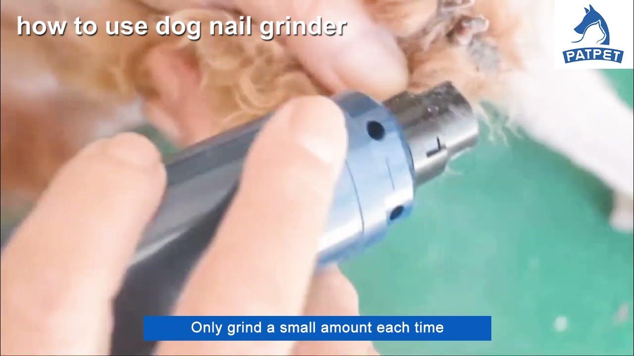 How to Use Dog Nail Grinder PATPET YouTube