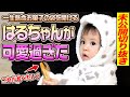 【未公開切り抜き】お菓子の袋を開けたいのになかなか開けられないはるちゃんが可愛過ぎました