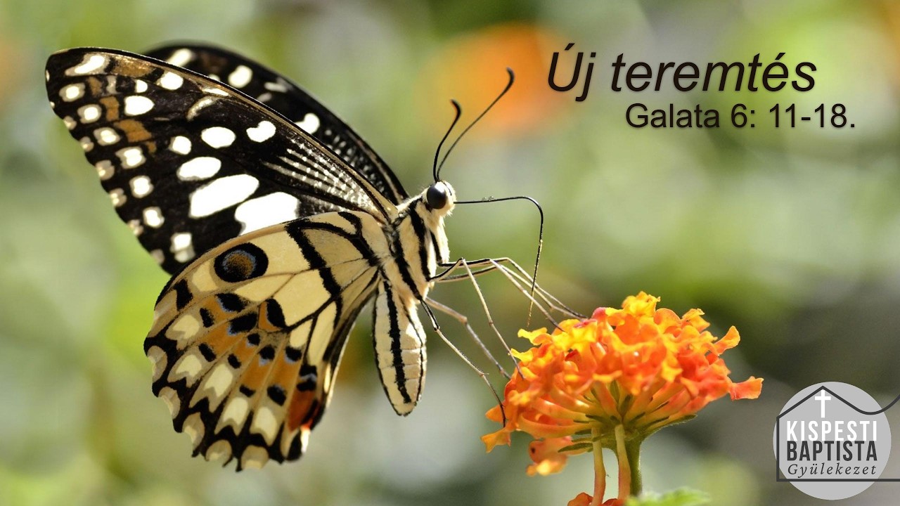 Új teremtés - Galata 6: 11-18. - 2026.09.27. istentisztelet (Pollák Dávid)