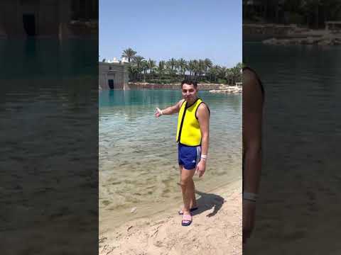 Pozdrav z Dolphin Bay ATLANTIS Dubai