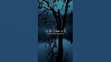 سورة التوبة #القارئ_ماهر_المعيقلي #اكسبلور #قران #لايك #دويتو #راحة_نفسية