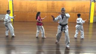 Taeguk 4 instructional video