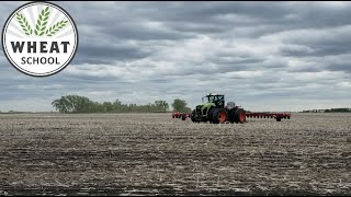 Leveraging later seeding for better stand and weed control | Wheat School