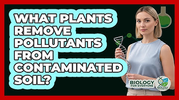 What Plants Remove Pollutants From Contaminated Soil? - Biology For Everyone
