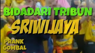 BIDADARI TRIBUN SRIWIJAYA FC | Vlog gombal cewek di stadion