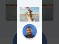Google Gemini AI detection tool