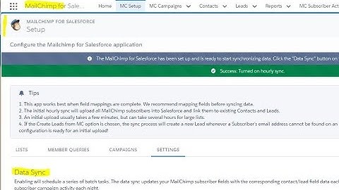 6. MailChimp for Salesforce App: Sync Settings in Lightning