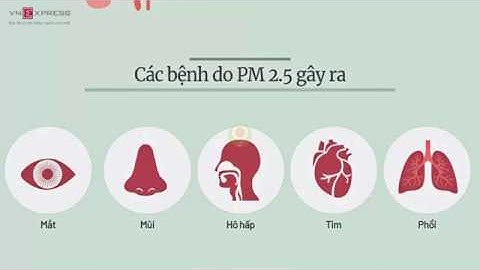 Tác hại của bụi siêu mịn trong không khí | Nine Promotion
