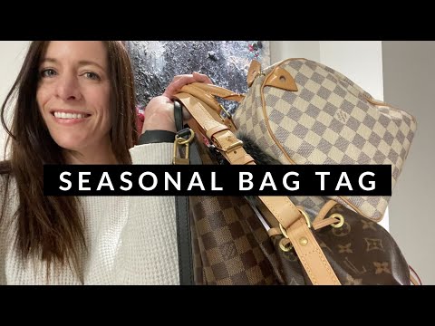 Louis Vuitton Speedy Bag Tag