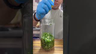 Chimichurri Argentino Ahumado