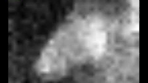 Real-time hand gesture recognition with MLX90640 sensor