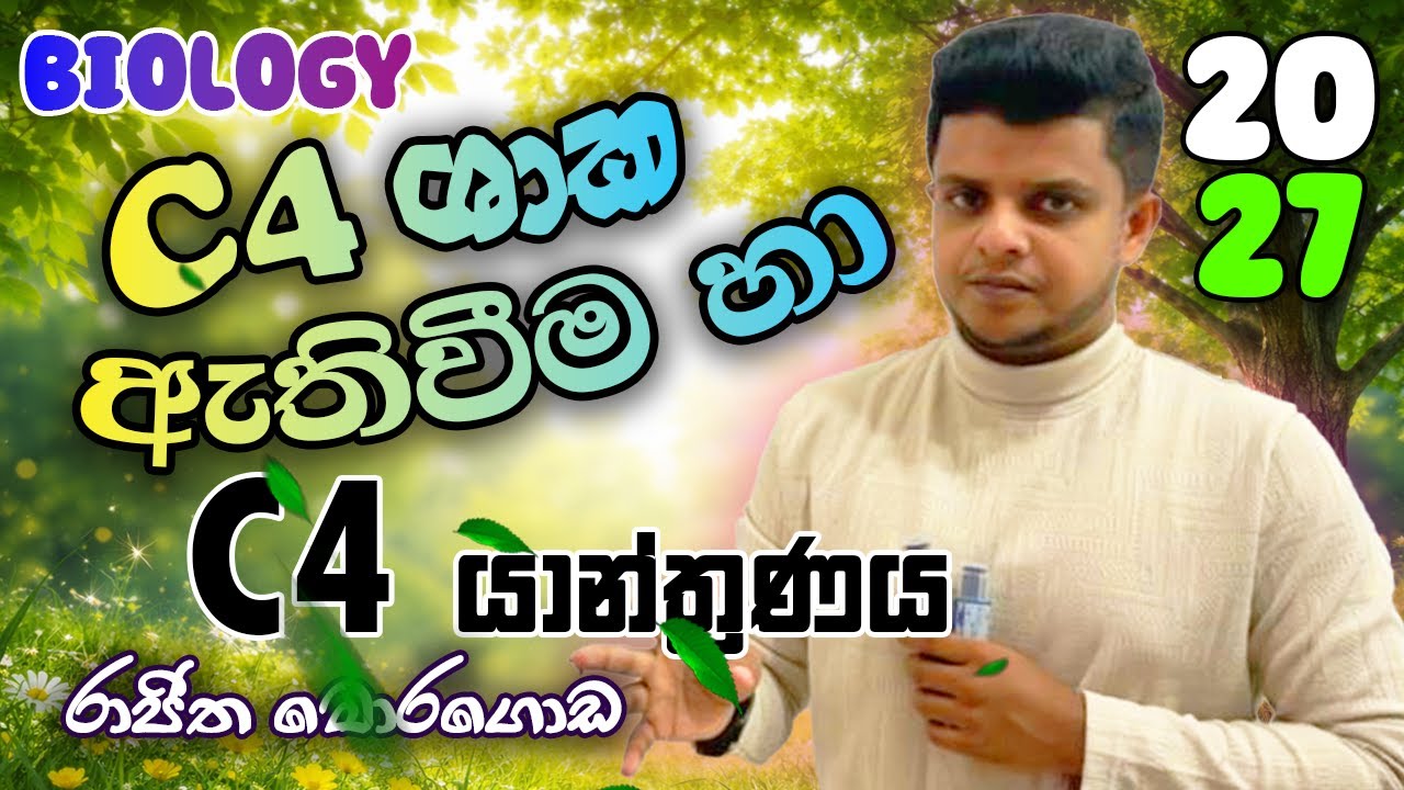 C4 ශාක ඇතිවීම හා C4  යාන්ත්‍රණය නැවත මතකයට ගනිමු...! | 2027 ජීව විද්‍යාව |  Rajitha Moragoda