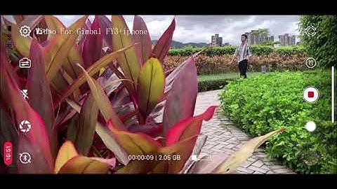 FY3 Stabilizer Three-axis