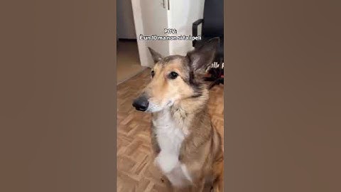 io le donne non le capisco proprio.