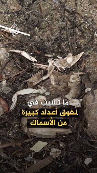   ..      
 - نشر قبل 14 دقيقة