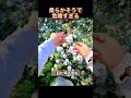 柔らかそうで危険すぎる❗