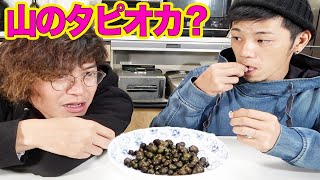 民家の裏に生えていたタピオカみたいな物を食べてみた！