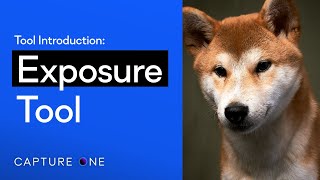 Capture One 21 Tool Introduction | Exposure Tool