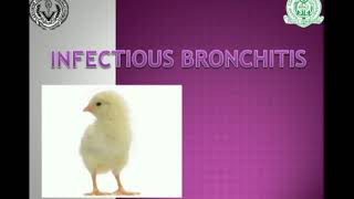 Infectious Bronchitis in Poultry screenshot 4