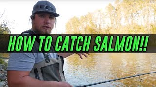 HOW TO Catch A Salmon  COMPLETE Guide To SUCCESS Salmon Fishing!