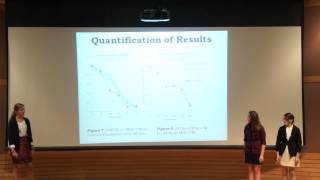 GSET 2012 Final Presentation - Migration Assay for Improving Chronic Wounds