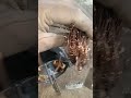 silai machine winding biodata #youtubeshorts #video