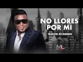 No llores Por Mi - Luis Miguel del Amargue - Audio Oficial