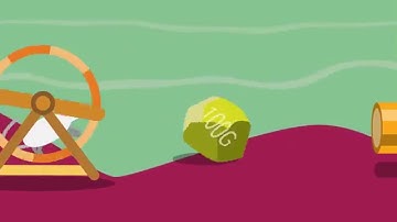 PacketLight alien wavelength