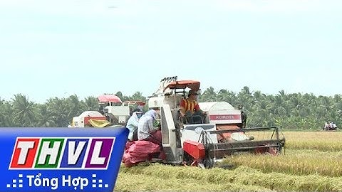 THVL | Nông nghiệp bền vững: Điểm sáng Hợp tác xã Nông nghiệp Rạch Lọp