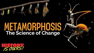 Metamorphosis: The Science Of Change | History Is Ours