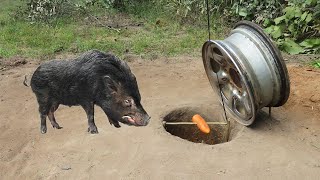 Awesome Creative Simple Wild Pig Trap Make From Old Car Wheel