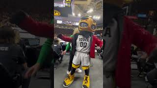 Herky spiffing up 😎🏀
