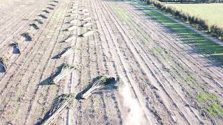 Bluegum Harvesting Australia 2017 Drone View