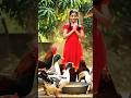 #Duck#🐓#funny Hens#Pearl Hen#Rooster #roosterdance #youtubeshorts#beautiful funny chickendance#hen
