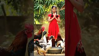#Duck#🐓#funny Hens#Pearl Hen#Rooster #roosterdance #youtubeshorts#beautiful funny chickendance#hen