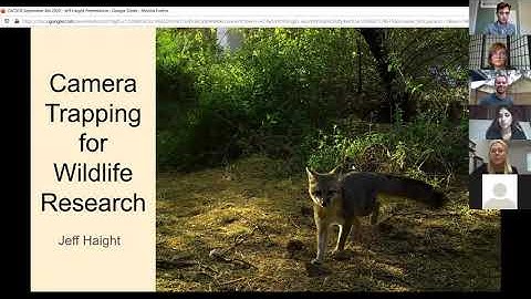 CACSCB Meeting September 8, 2020: Camera Traps and Urban Wildlife