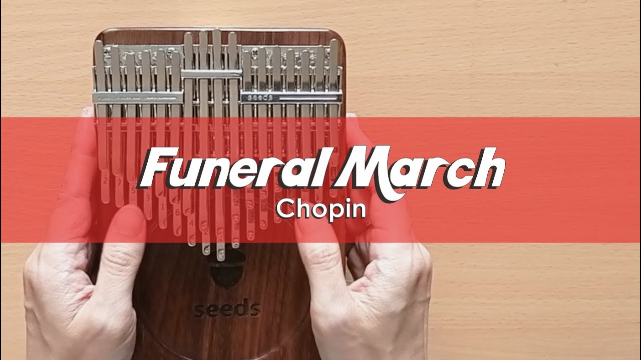 Funeral March (Chopin) Seeds 34 Keys Chromatic Kalimba Cover With