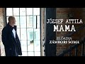 [KARANTÉN VERS 2.0] József Attila: Mama