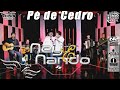 Pé de Cedro - NEY E NANDO (Gravado em Estúdio)