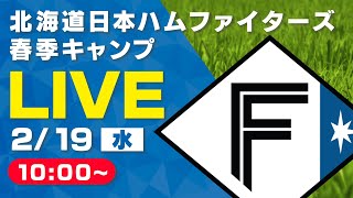【特別LIVE】2/19 朝10:00～ ティーバイティーガレージ presents ファイターズキャンプLIVE 2025～北海道日本ハムファイターズ～