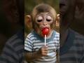 Baby Monkey Tastes a Lollipop... Then Bursts Into Laughter!🍭😂