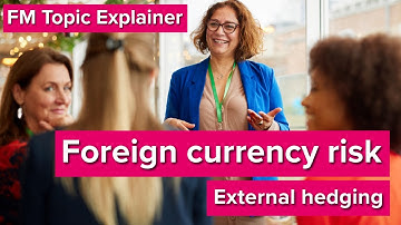 FM Topic Explainer: Foreign Currency Risk and External Hedging