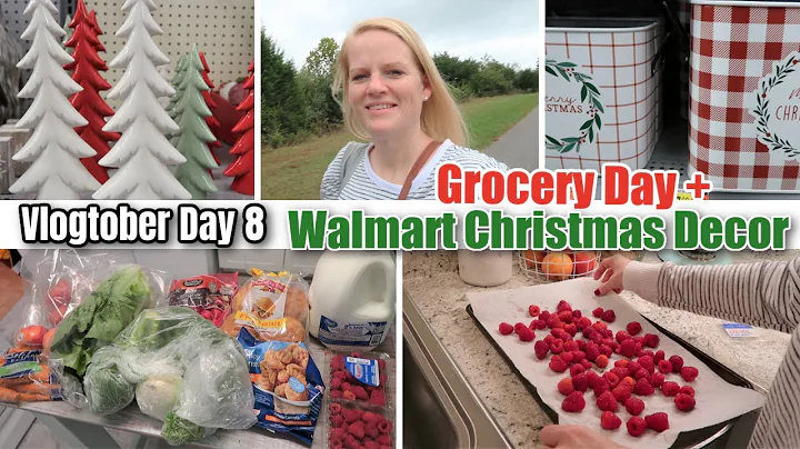 VLOGTOBER DAY 8 / GROCERY DAY + WALMART CHRISTMAS DECOR 2021 / WALMART GROCERY HAUL AND MEAL PLAN