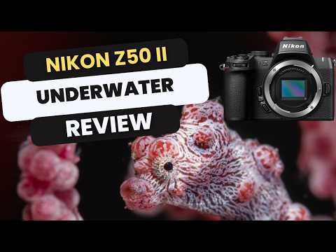 Nikon Z50 II Camera Review - Underwater Photography Guide