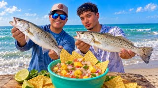We Caught Our Dinner From the Beach! (Catch & Cook) ft. BabyGoatErin
