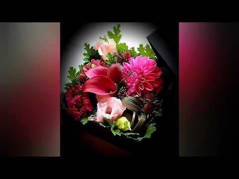 يامونسي في وحدتي يارب 