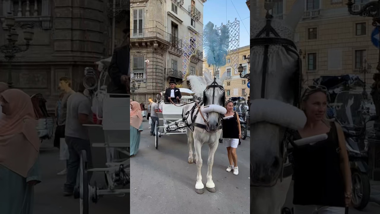 Discovering Sicily's Stunning Capital City Palermo 🇮🇹