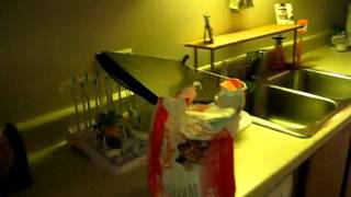 MVI_1380.AVI