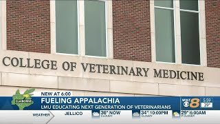 Largest veterinarian school in America works to fill critical void from TN home